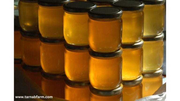 HONEY WHOLESALE MARKET IN MULTAN