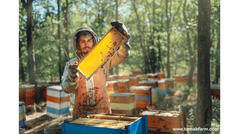 PURE HONEY WHOLESALE IN PESHAWAR