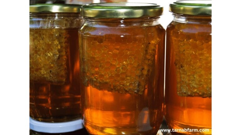 WHOLESALE HONEY PRICES IN 2024